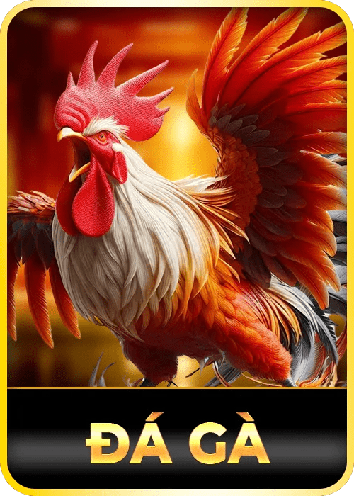 Đá Gà 88aa